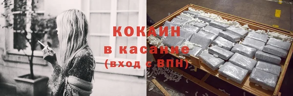 каннабис Богданович
