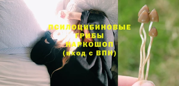 стаф Богородск