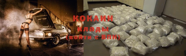стаф Богородск