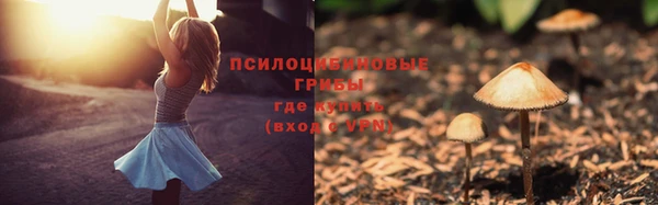 каннабис Богданович