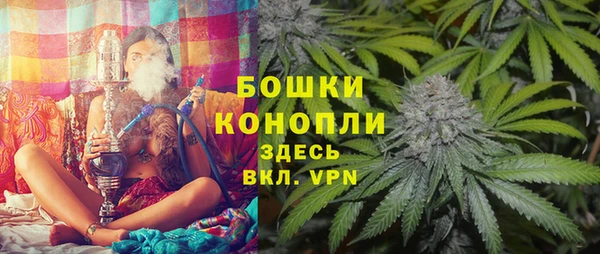 каннабис Богданович