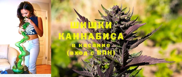 стаф Богородск