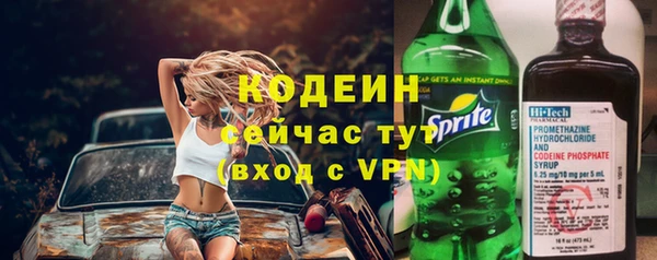 стаф Богородск