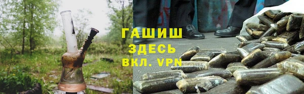 ГАЛЛЮЦИНОГЕННЫЕ ГРИБЫ Бородино