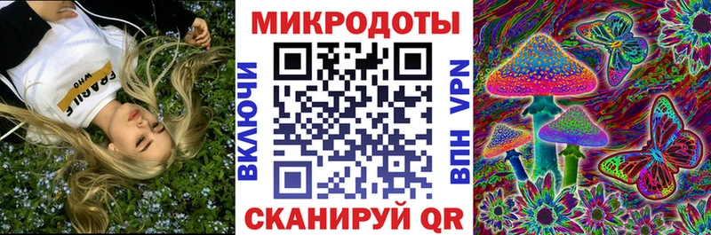 купить наркотик  Нестеров  Галлюциногенные грибы MAGIC MUSHROOMS 